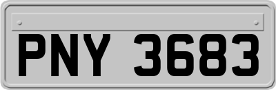 PNY3683