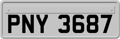 PNY3687