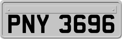 PNY3696