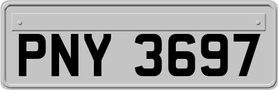 PNY3697