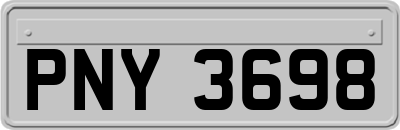 PNY3698
