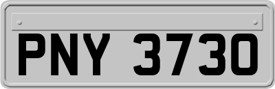 PNY3730