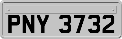 PNY3732