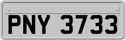 PNY3733