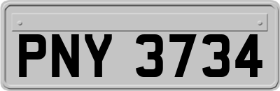 PNY3734