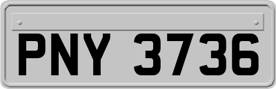 PNY3736
