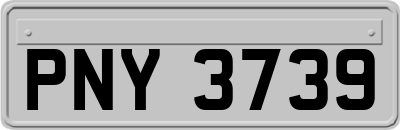 PNY3739
