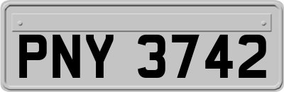 PNY3742