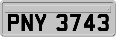 PNY3743