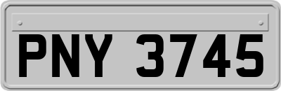 PNY3745