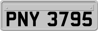 PNY3795