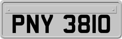 PNY3810