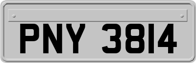 PNY3814