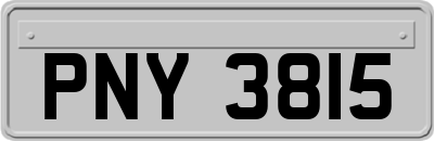 PNY3815