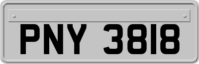 PNY3818