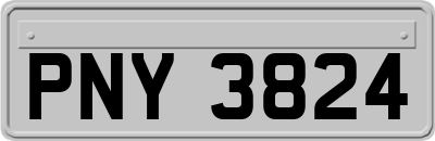 PNY3824