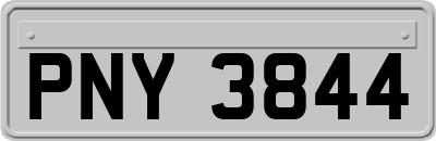 PNY3844