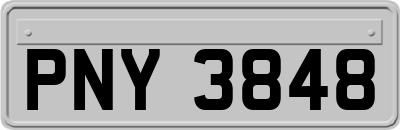 PNY3848