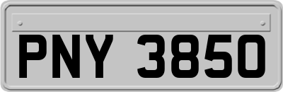 PNY3850