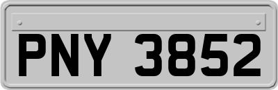 PNY3852
