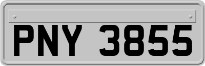PNY3855