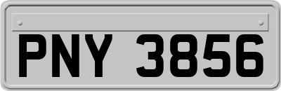 PNY3856