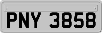 PNY3858
