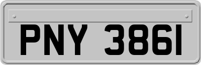 PNY3861