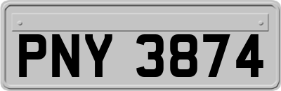 PNY3874