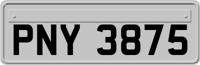 PNY3875