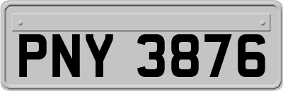 PNY3876