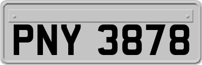 PNY3878