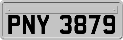 PNY3879