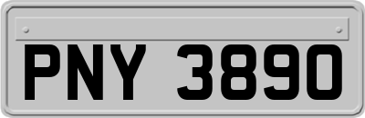 PNY3890