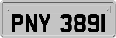 PNY3891