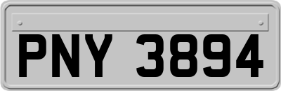 PNY3894