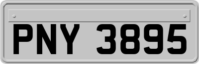 PNY3895