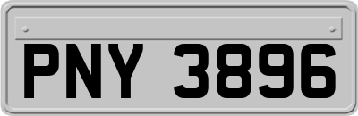 PNY3896