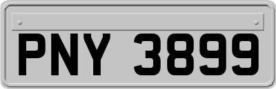 PNY3899