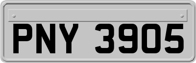 PNY3905