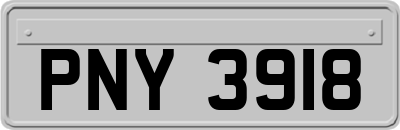 PNY3918