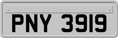 PNY3919