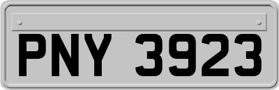 PNY3923