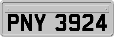 PNY3924