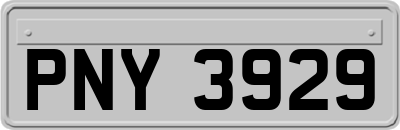 PNY3929