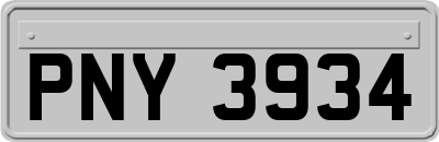 PNY3934