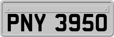 PNY3950