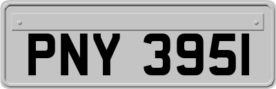 PNY3951