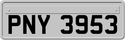 PNY3953