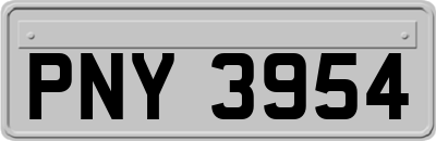 PNY3954